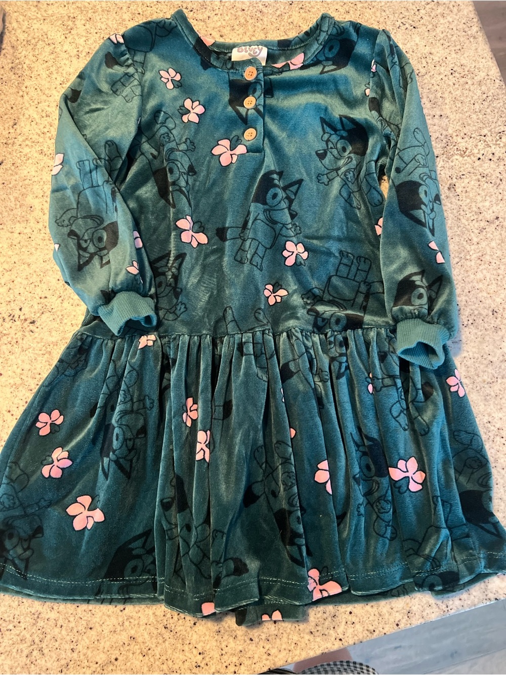 Bluey dress toddler girl 5T